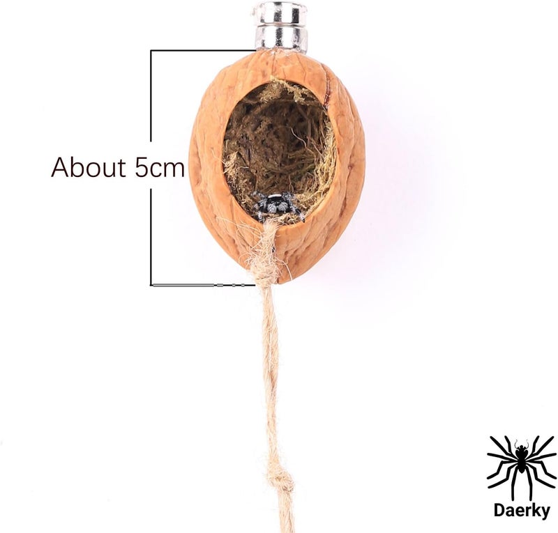 Daerky Walnut Skin Spider Shelter - Magnetic Jumping Spider Habitat, Handmade Enclosure - Image 2